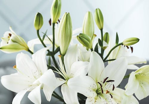Water flows from a kitchen faucet into a vase, containing a dozen vibrant mixed flowers