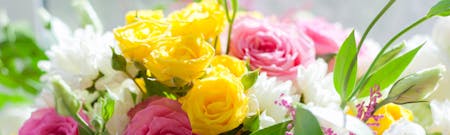 Congratulation Flowers | Cincinnati (OH) Sending Cheer | Adrian Durban  Florist