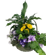 Bright Blooming & Green Plant Basket