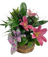 Botanical Green Planter with Fresh Lilies