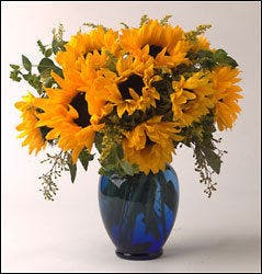 Summer Sky Bouquet Sunny sunflowers in a Cobalt Blue Vase