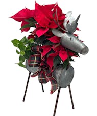 Adrian Durban's Christmas Reindeer with Red Poinsettias - Last one!