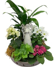 Blooming Plant Basket with Keepsake Angel