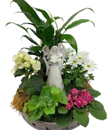 Blooming Plant Basket with Keepsake Angel