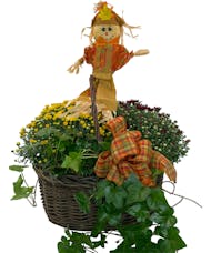 Fall Mum Basket with Scarecrow