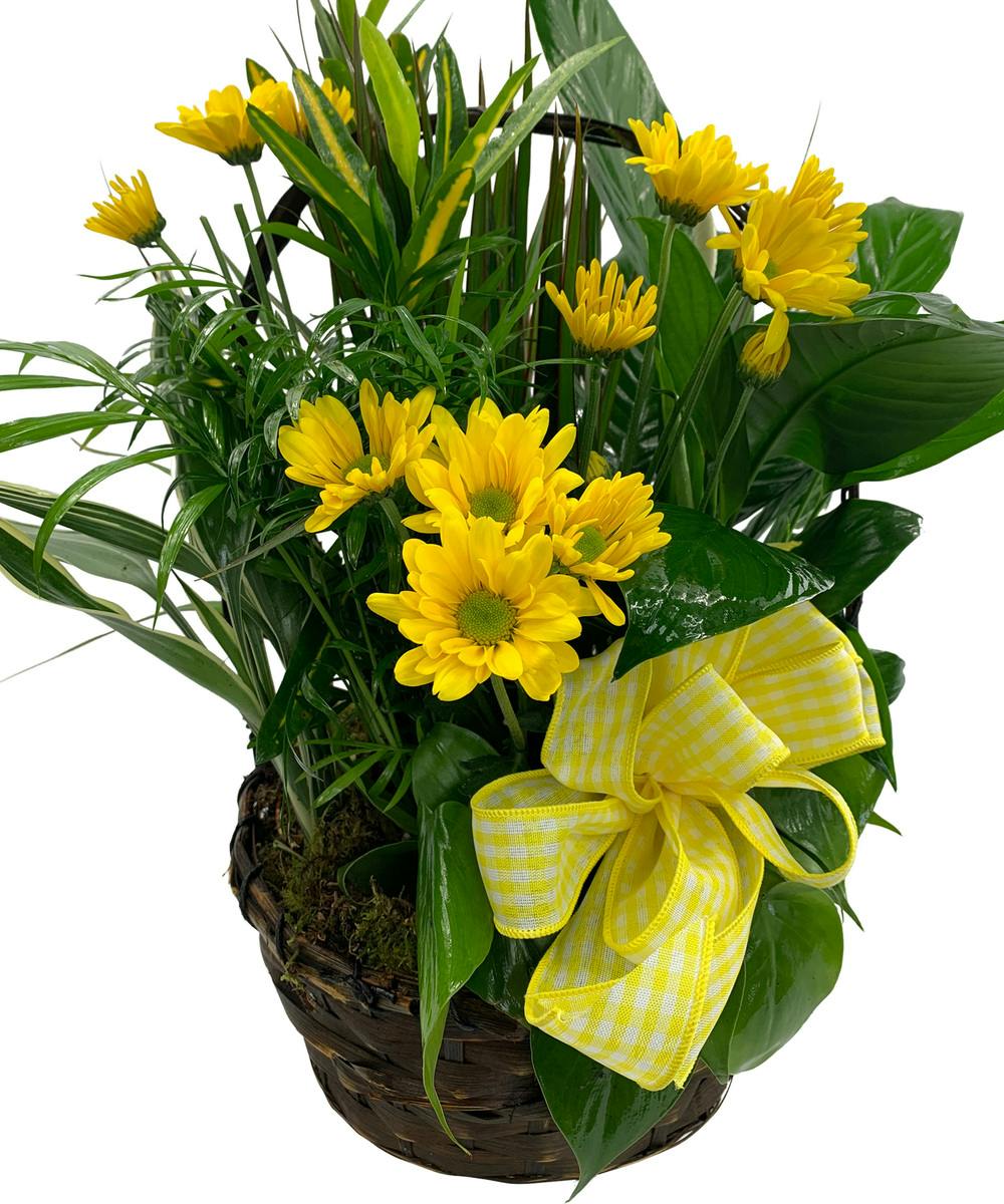 Botanical Planter with Fresh Cut Flowers Cincinnati (OH) Plant