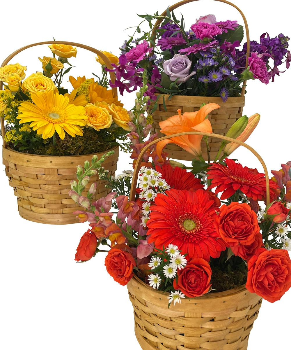 Basket of Farm Fresh Flowers Cincinnati (OH) SameDay Flower Delivery Adrian Durban
