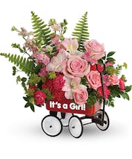 Welcome Beautiful!   Baby Girl Wagon