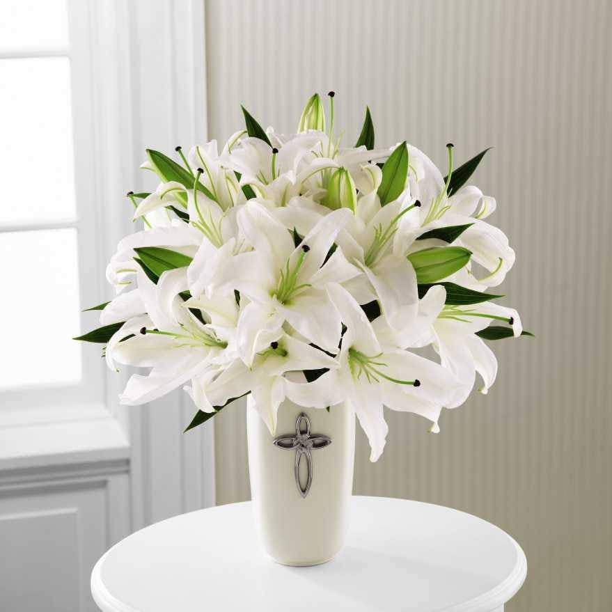 aika online natures blessing set aika online natures blessing set