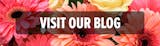 Visit Our Blog